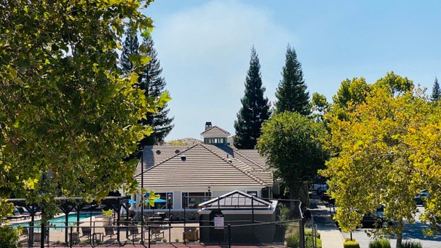 Binary reflectionsnew blog