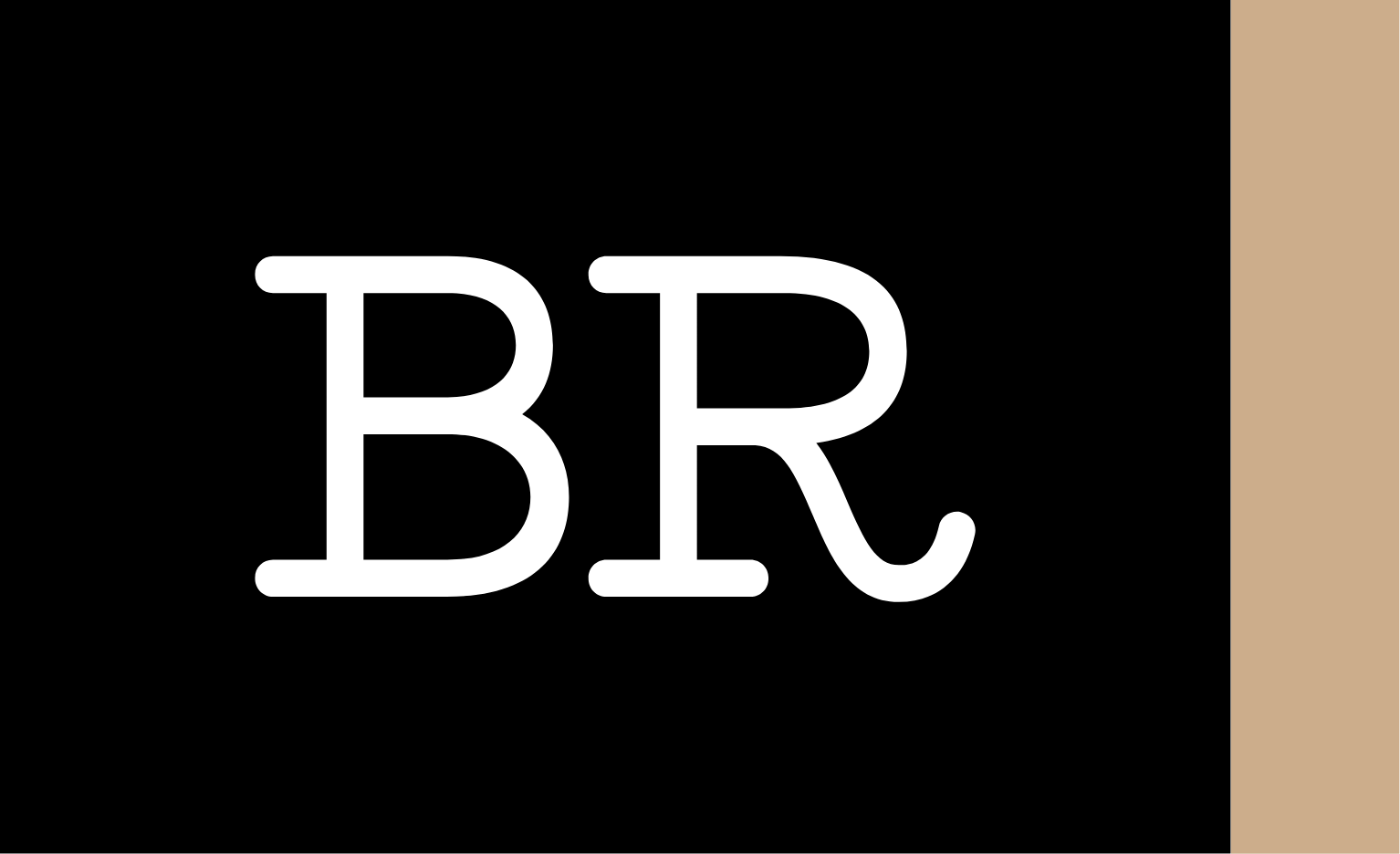 Binary Reflections Logo