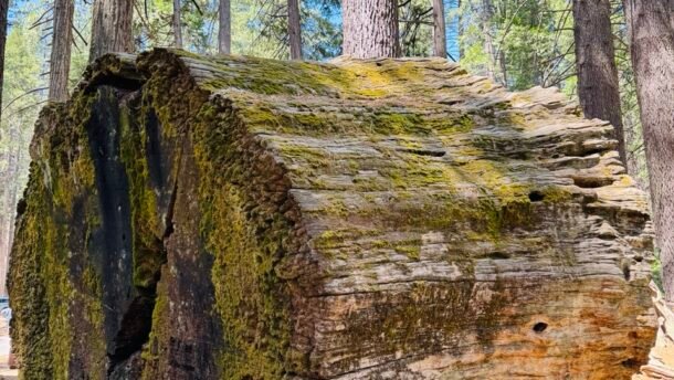 Binary reflections outgrowing old frienships