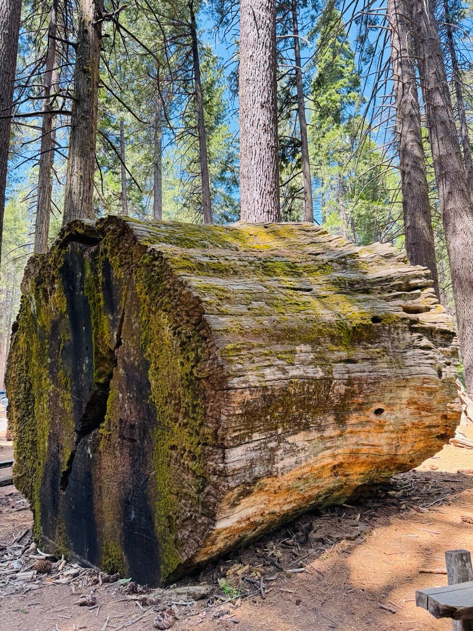 Binary reflections outgrowing old frienships