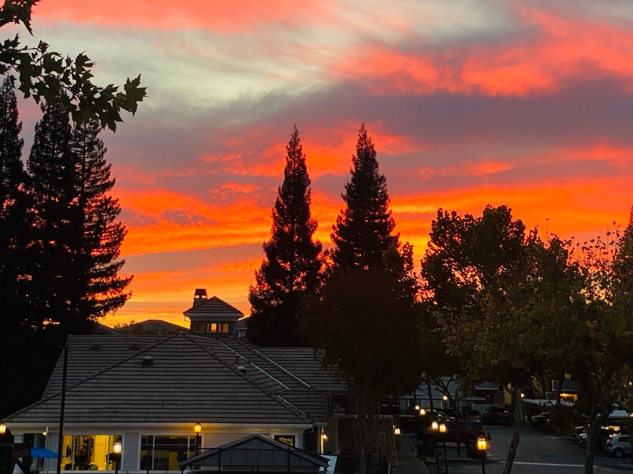 Binary Reflections 2025 Zeitgeist